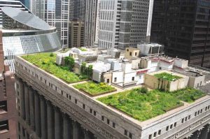 superior-rooftop-gardens-2-chicago-city-hall-roof-garden-1200-x-795