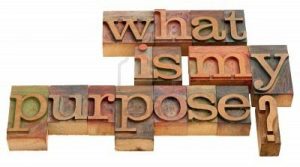 what-is-my-purpose life and lesson