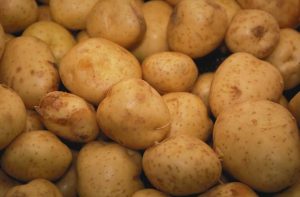 potato dreams 03