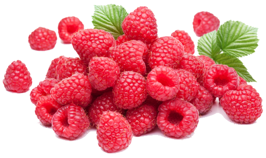 raspberries DREAMS 01