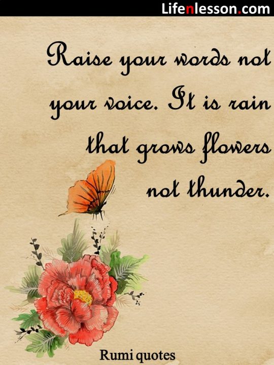Rumi Quotes 