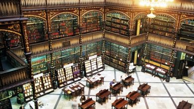 Photo of 15 Beautiful Library From Around The World